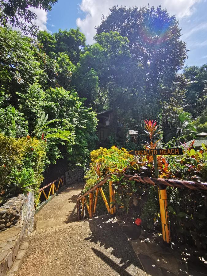 Aguila de Osa Rainforest Lodge Drakes Bay Extérieur photo