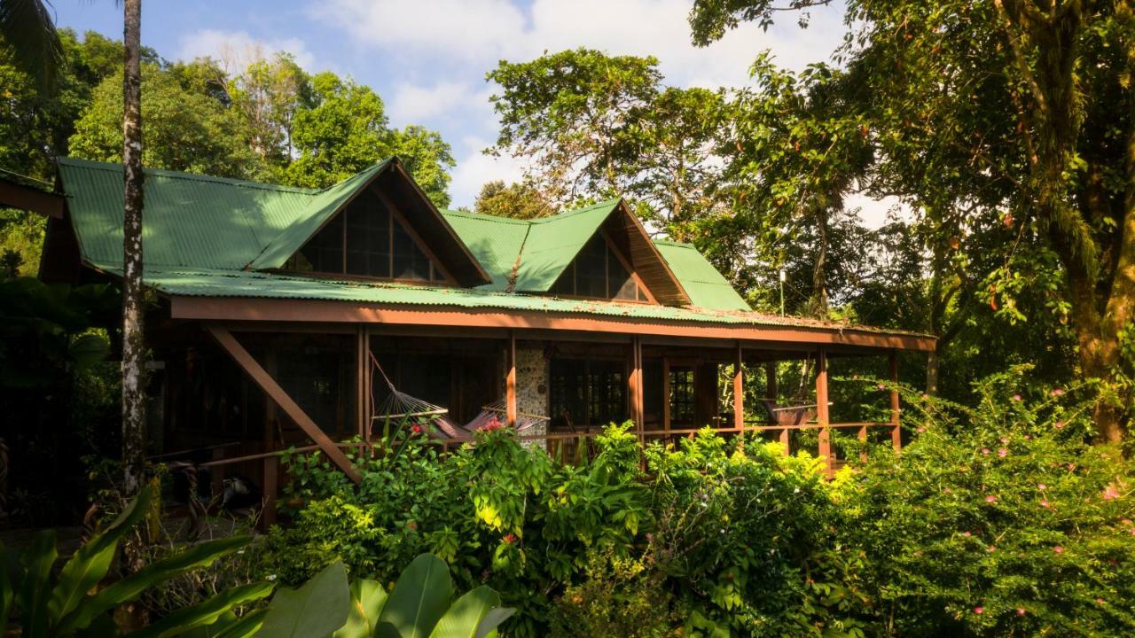Aguila de Osa Rainforest Lodge Drakes Bay Extérieur photo