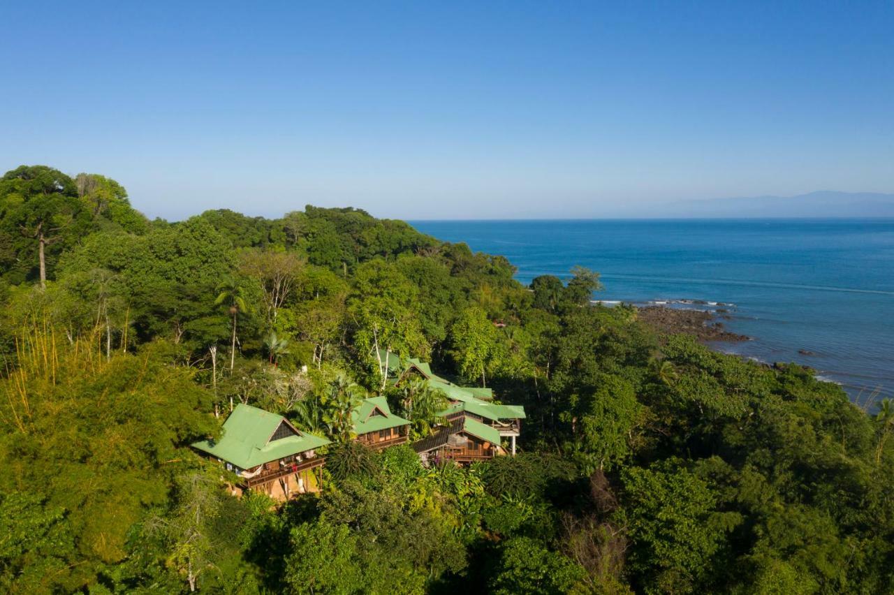 Aguila de Osa Rainforest Lodge Drakes Bay Extérieur photo