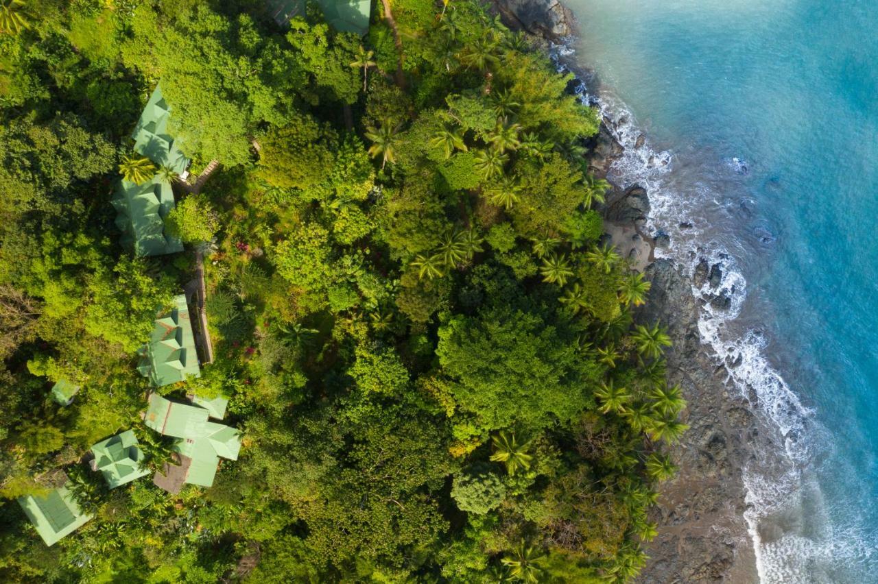 Aguila de Osa Rainforest Lodge Drakes Bay Extérieur photo